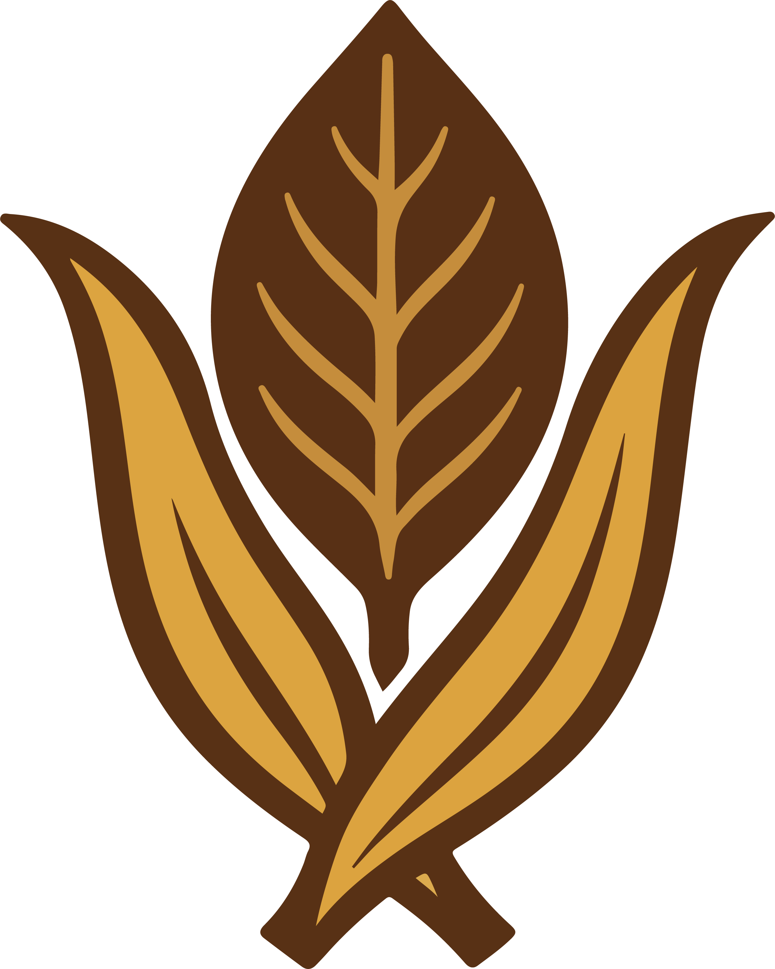 Logo Bandeirante